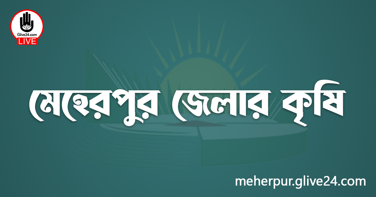 মেহেরপুর জেলার কৃষি