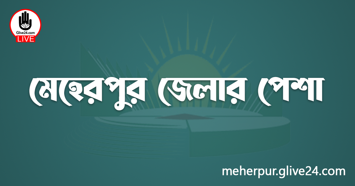 মেহেরপুর জেলার পেশা