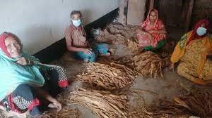 শুধু সকাল বিকাল বুঝি দিবস বুঝি না