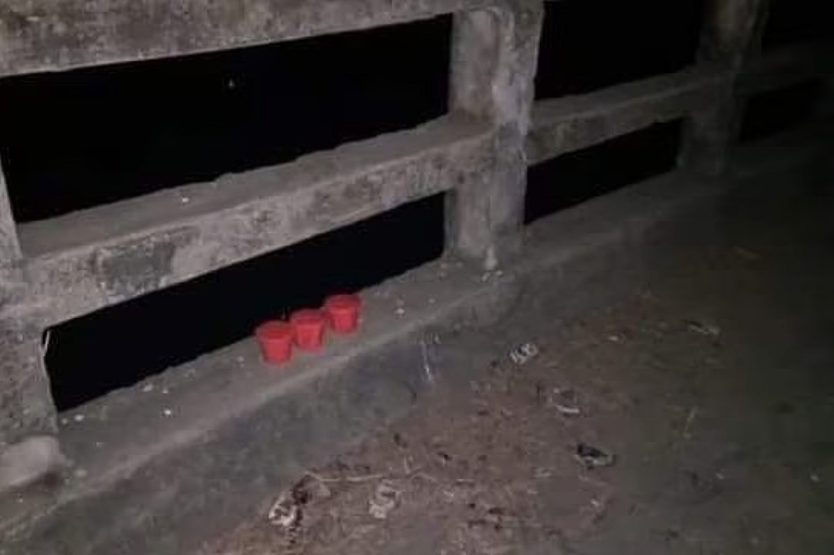 মেহেরপুরে হেডলাইট দেখে ৩টি হাতবোমা ফেলে পালায় ডাকাত দল, পরে উদ্ধার